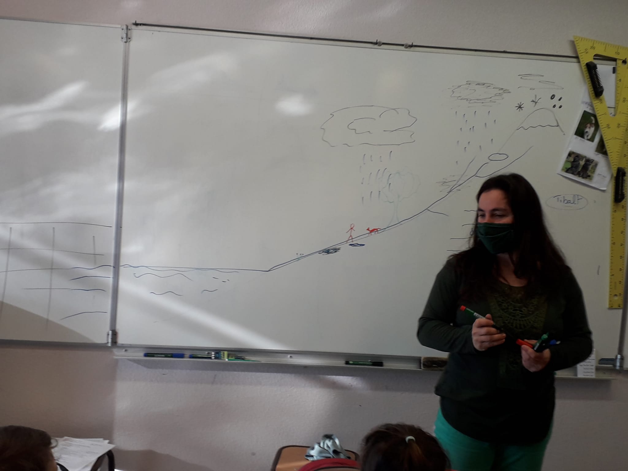 projet environnement 