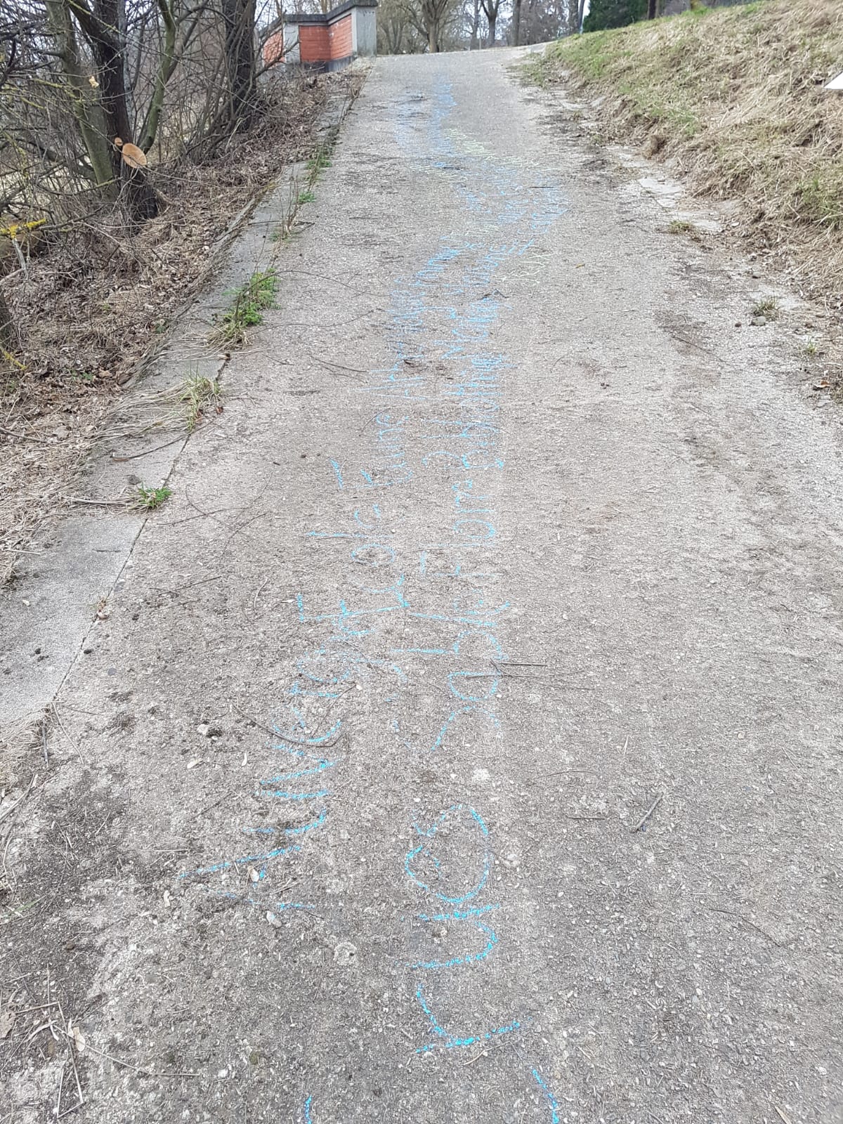 projet environnement 