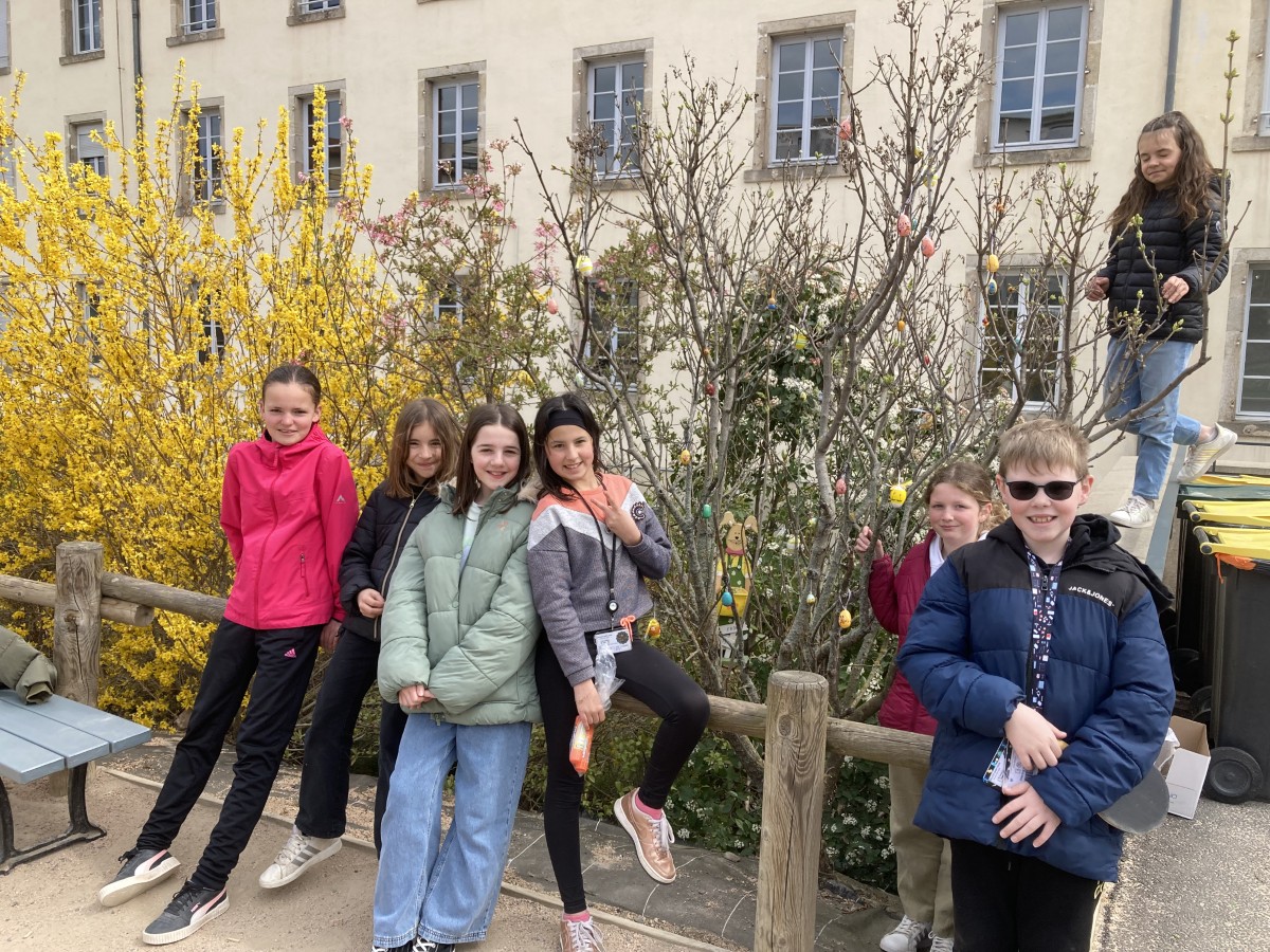 Un arbre de Pâques dans la cour du collège Saint-Louis